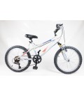 VTT 20 pouce